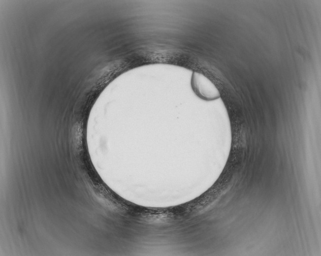 X0000110710646200907241146