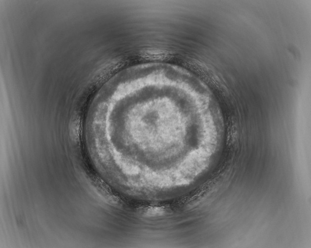 X0000110710647200907241146