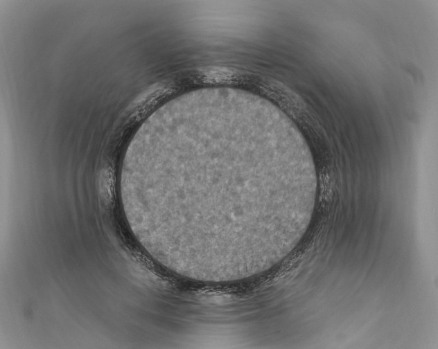 X0000110710648200907241146