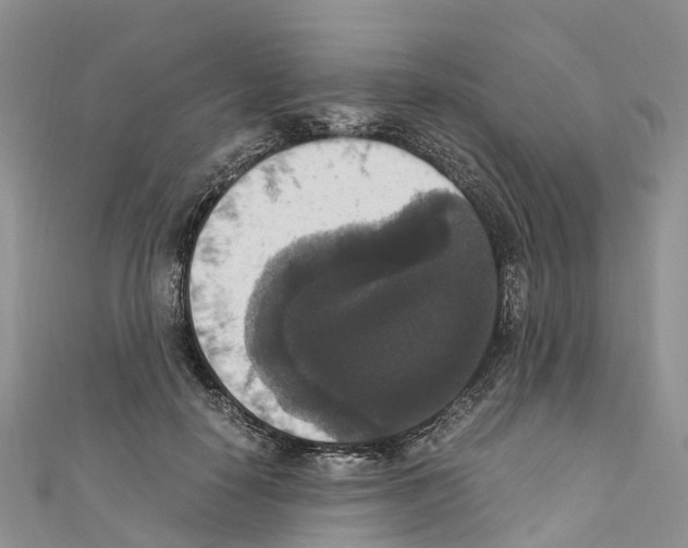 X0000110710650200907241146
