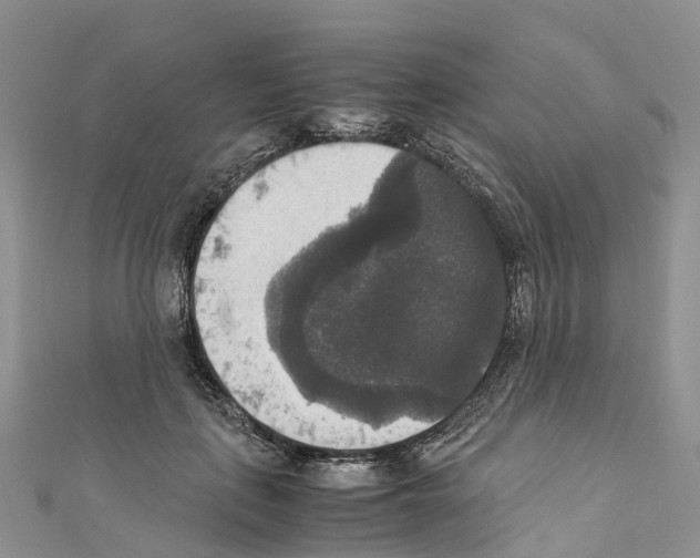 X0000110710651200907241146