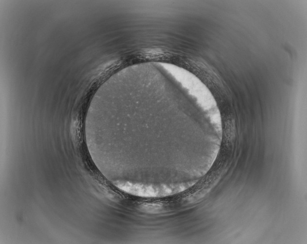 X0000110710653200907241146