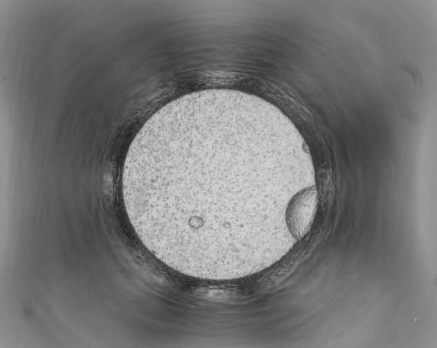 X0000110710655200907241147