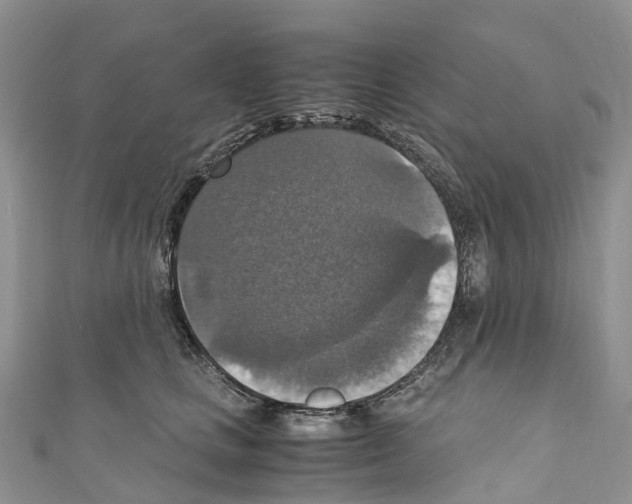 X0000110710661200907241147