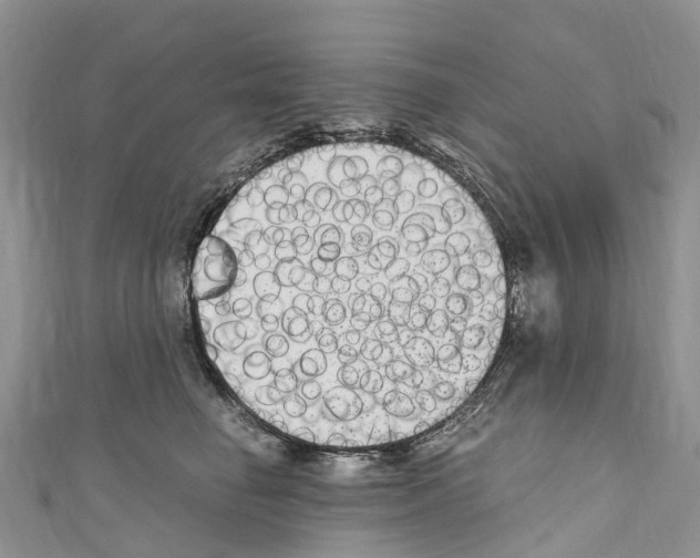 X0000110710662200907241147
