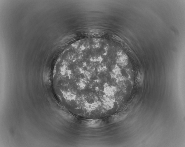 X0000110710663200907241147