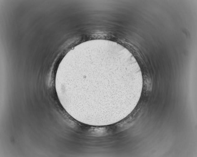 X0000110710665200907241147