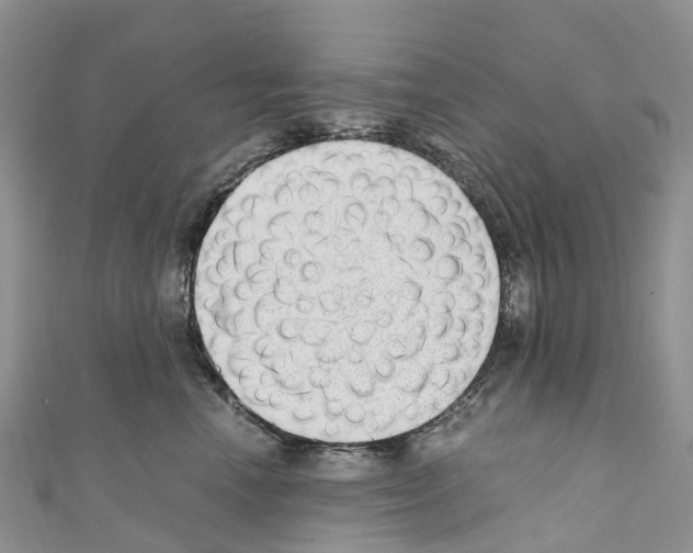 X0000110710666200907241147