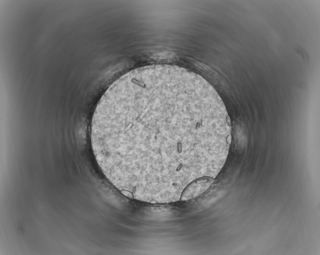 X0000110710668200907241147
