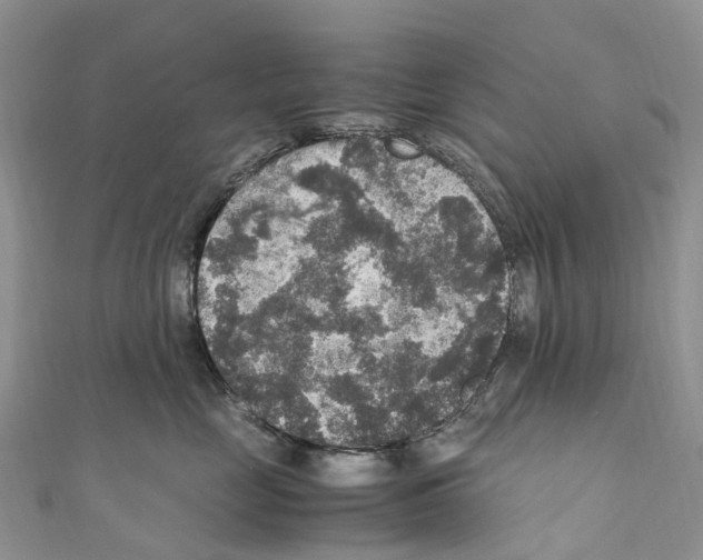X0000110710669200907241147
