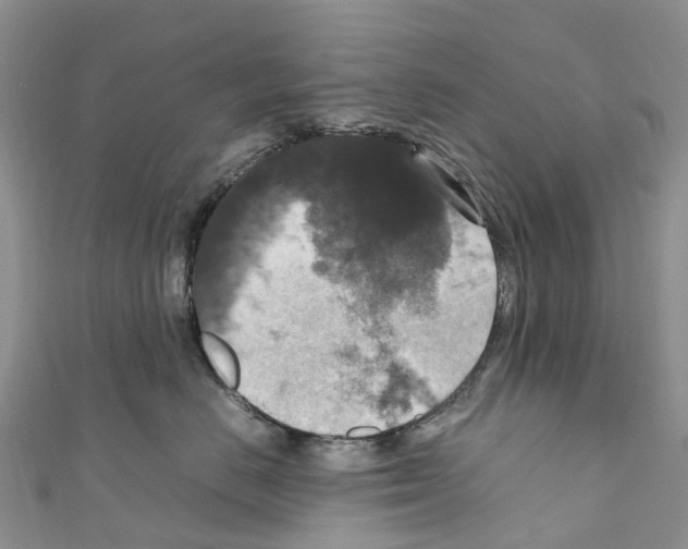 X0000110710670200907241147