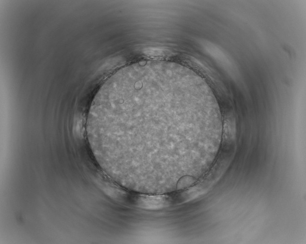 X0000110710671200907241147
