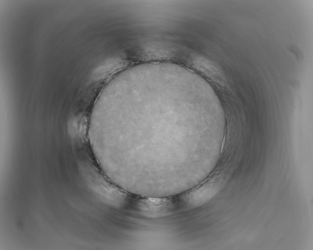 X0000110710672200907241147