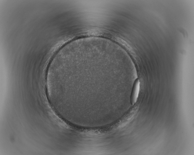X0000110710673200907241146