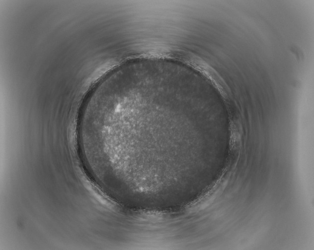 X0000110710677200907241146