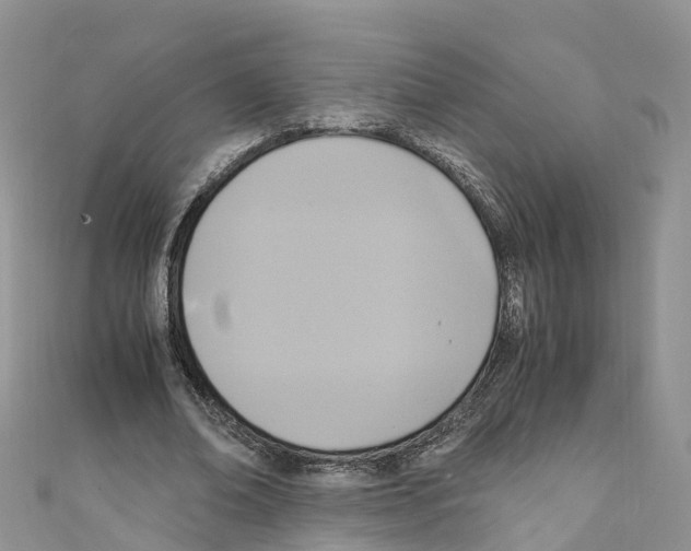 X0000110710678200907241146