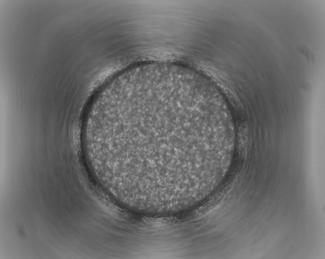 X0000110710679200907241146