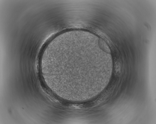 X0000110710680200907241146