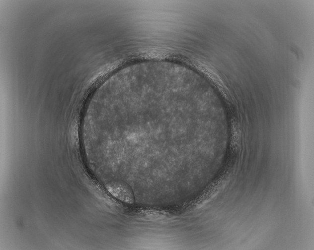 X0000110710681200907241146