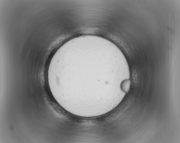X0000110710682200907241146