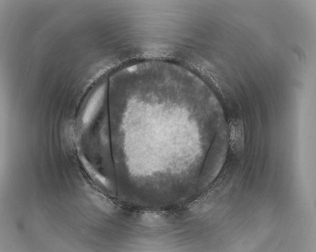 X0000110710684200907241146