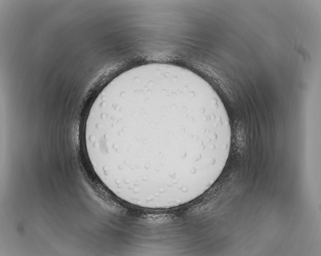 X0000110710686200907241146