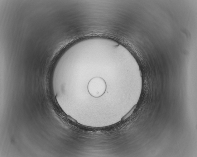 X0000110710688200907241146