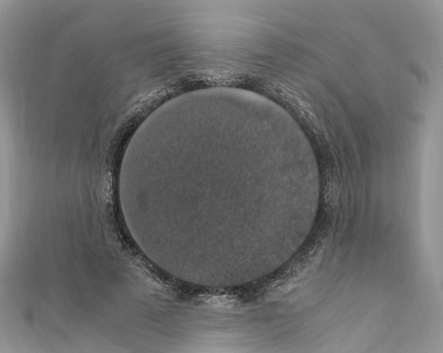 X0000110710689200907241146