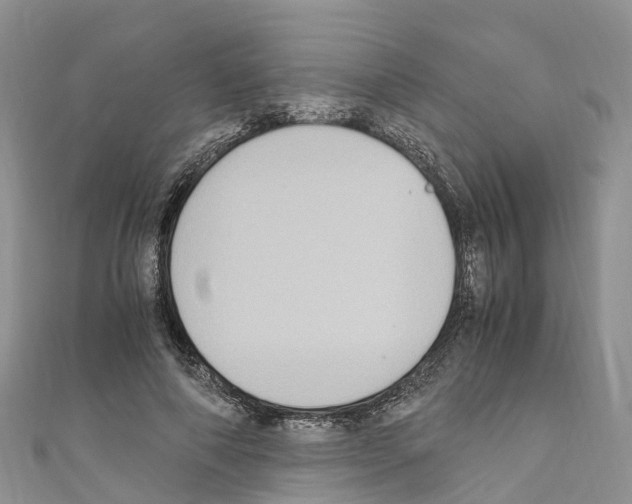 X0000110710690200907241146