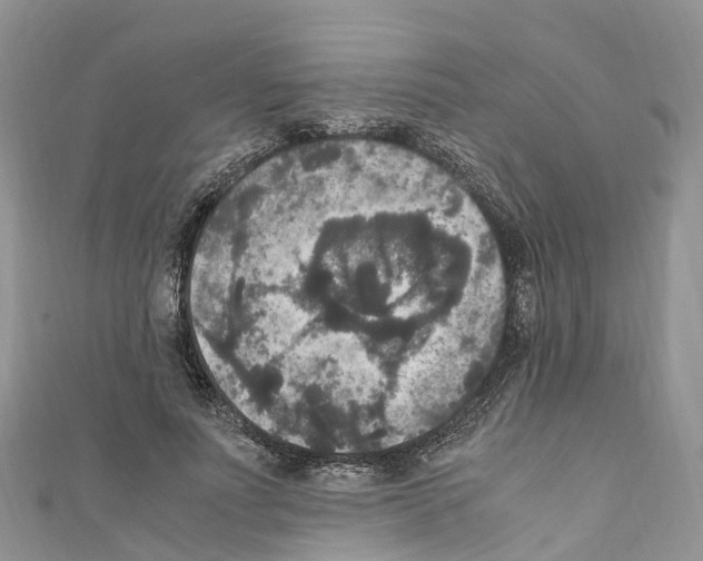 X0000110710691200907241146