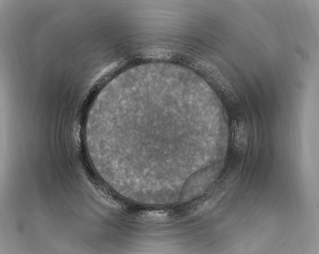 X0000110710692200907241146