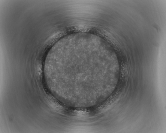 X0000110710693200907241146