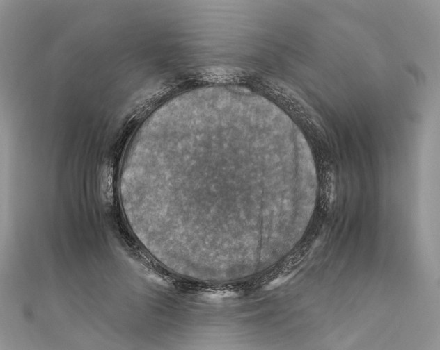 X0000110710696200907241146