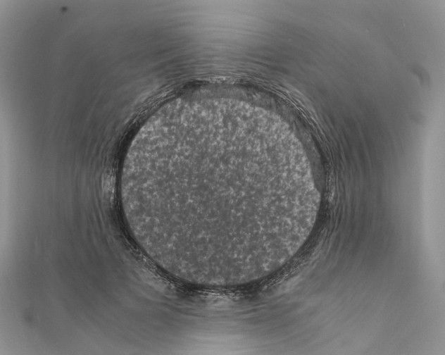 X0000110710697200907241146