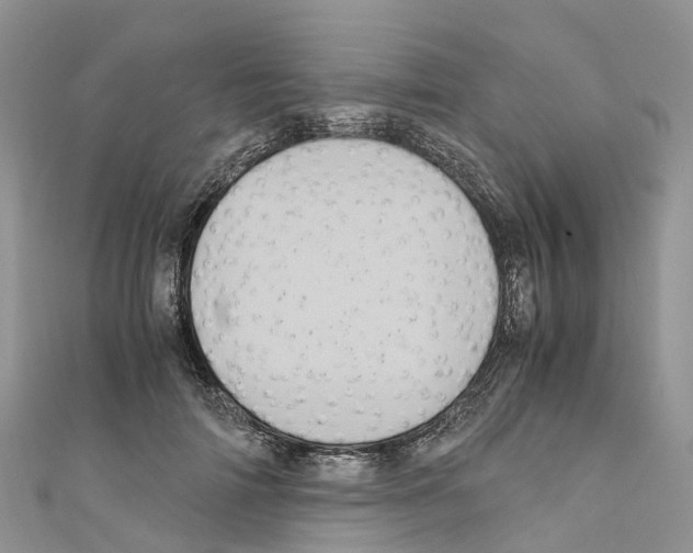 X0000110710698200907241146