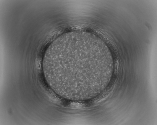 X0000110710699200907241146