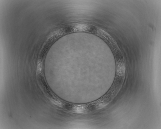X0000110710701200907241146