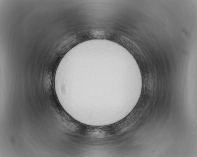 X0000110710702200907241146