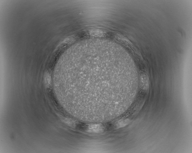 X0000110710705200907241146