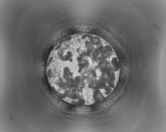 X0000110710707200907241146