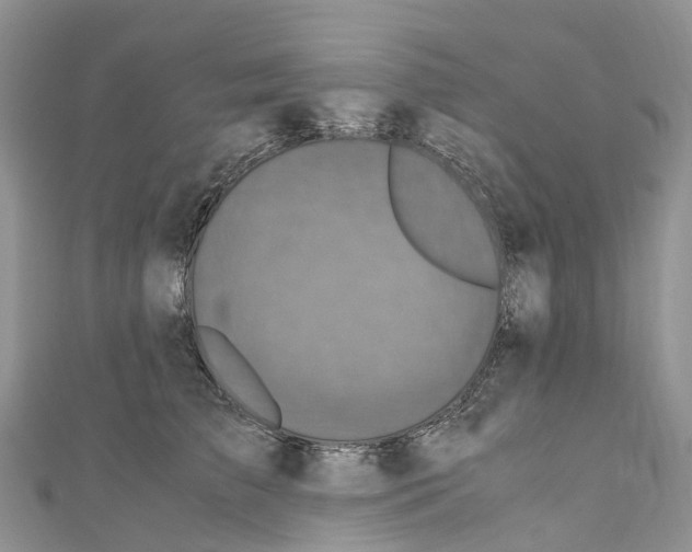 X0000110710709200907241146