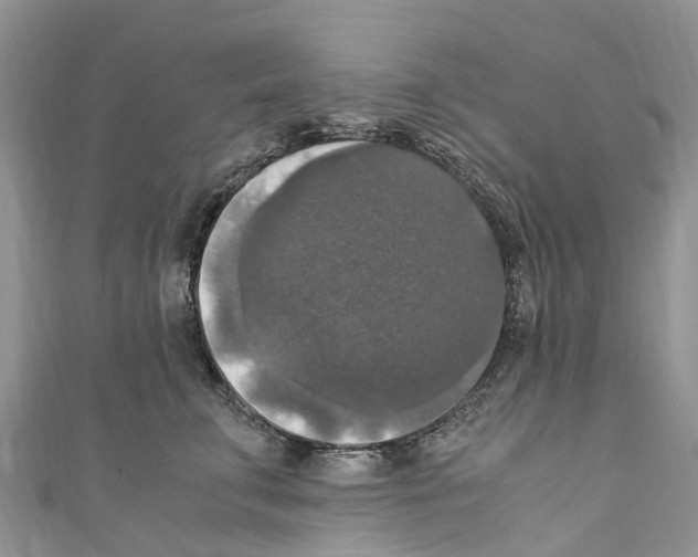 X0000110710711200907241146