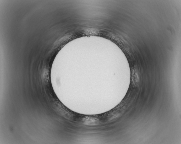 X0000110710714200907241146