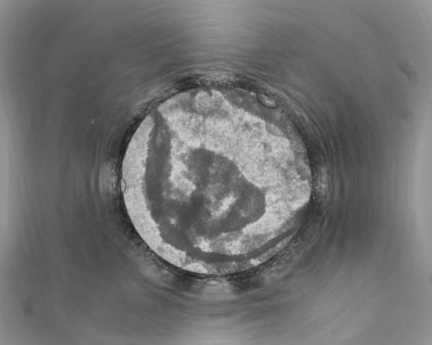 X0000110710715200907241146