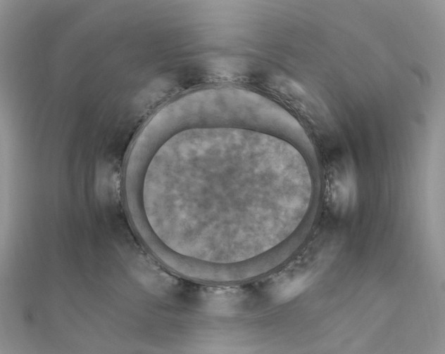 X0000110710716200907241146