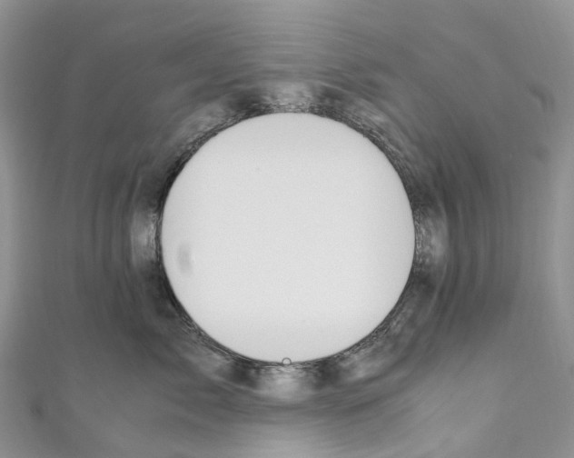 X0000110710717200907241146