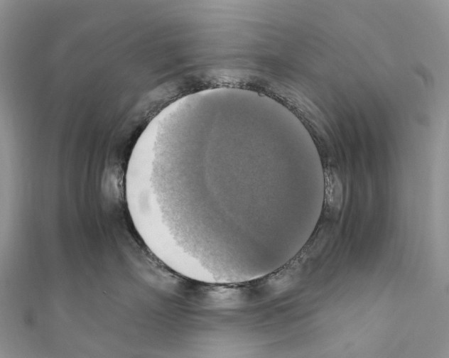 X0000110710718200907241146