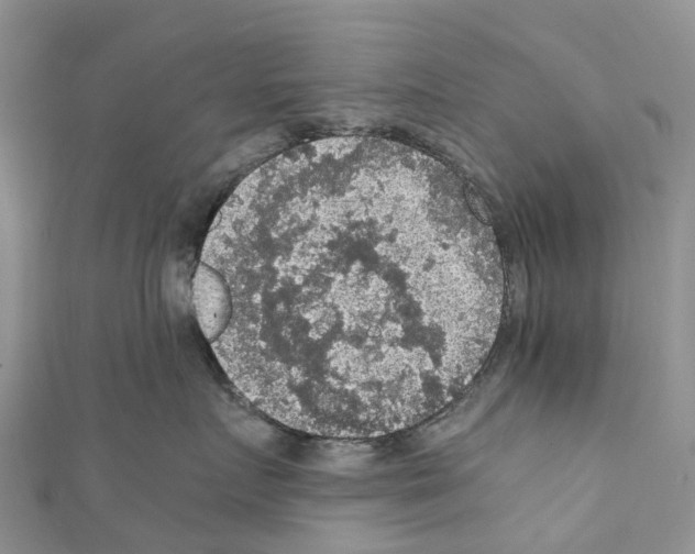 X0000110710719200907241146