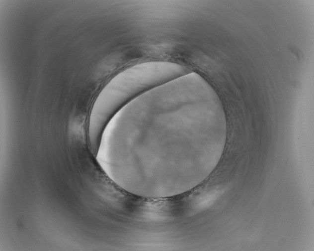 X0000110710720200907241146