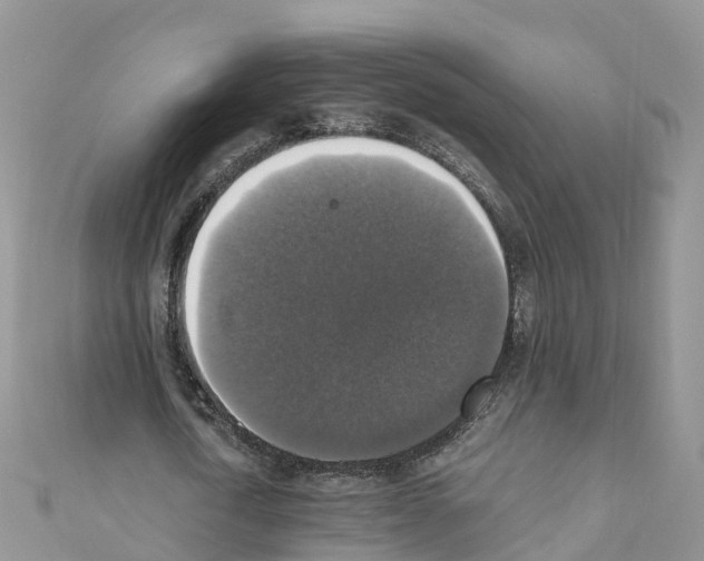 X0000110710722200907241145